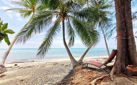 Beach Bungalow - Outdoor Net On The Beach - Working Desk